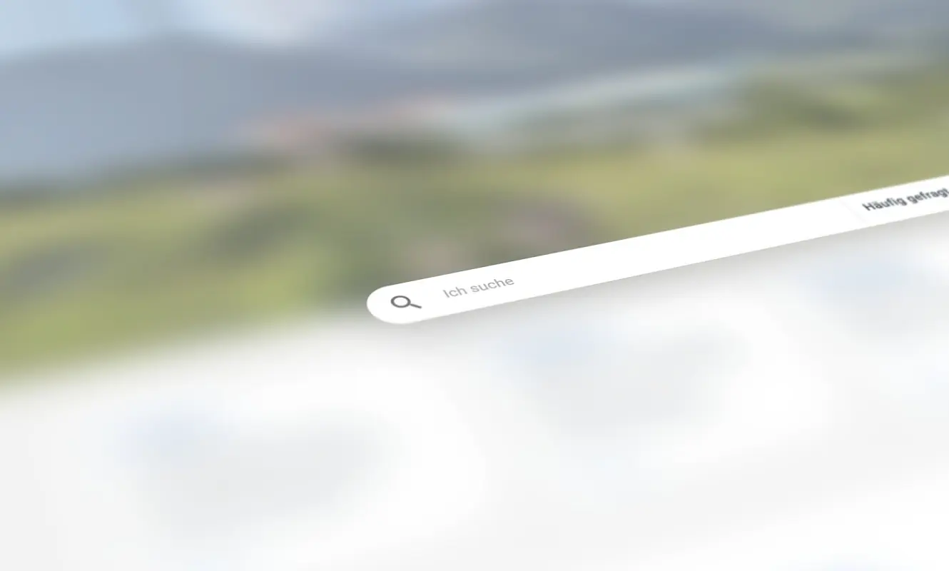 Suchfeld der Website der Gemeinde Silvaplana, unscharfer Seitenhintergrund