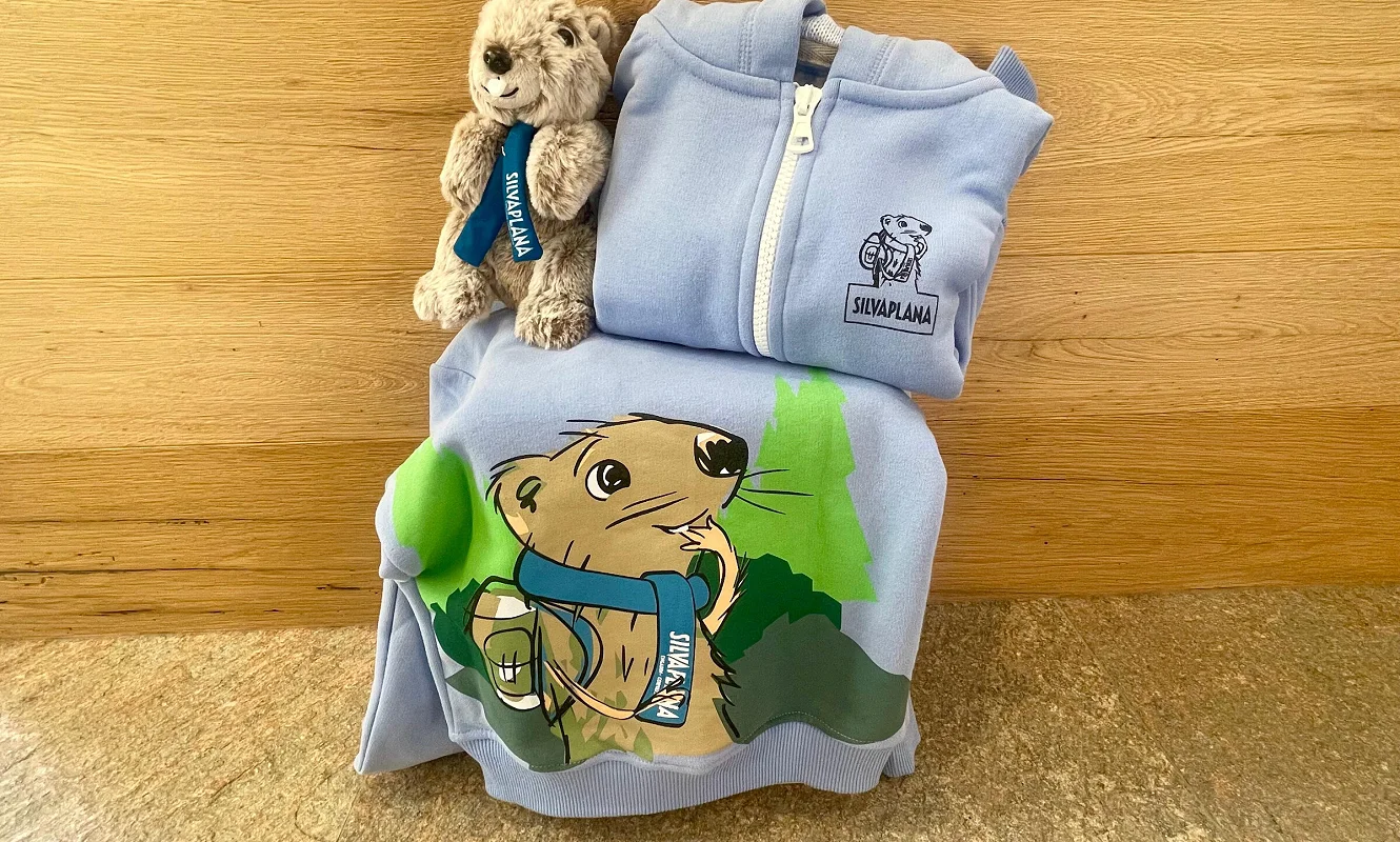Hellblaue Kinder-Hoodies mit Niculin-Aufdruck und Plüsch-Niculin auf Holztisch