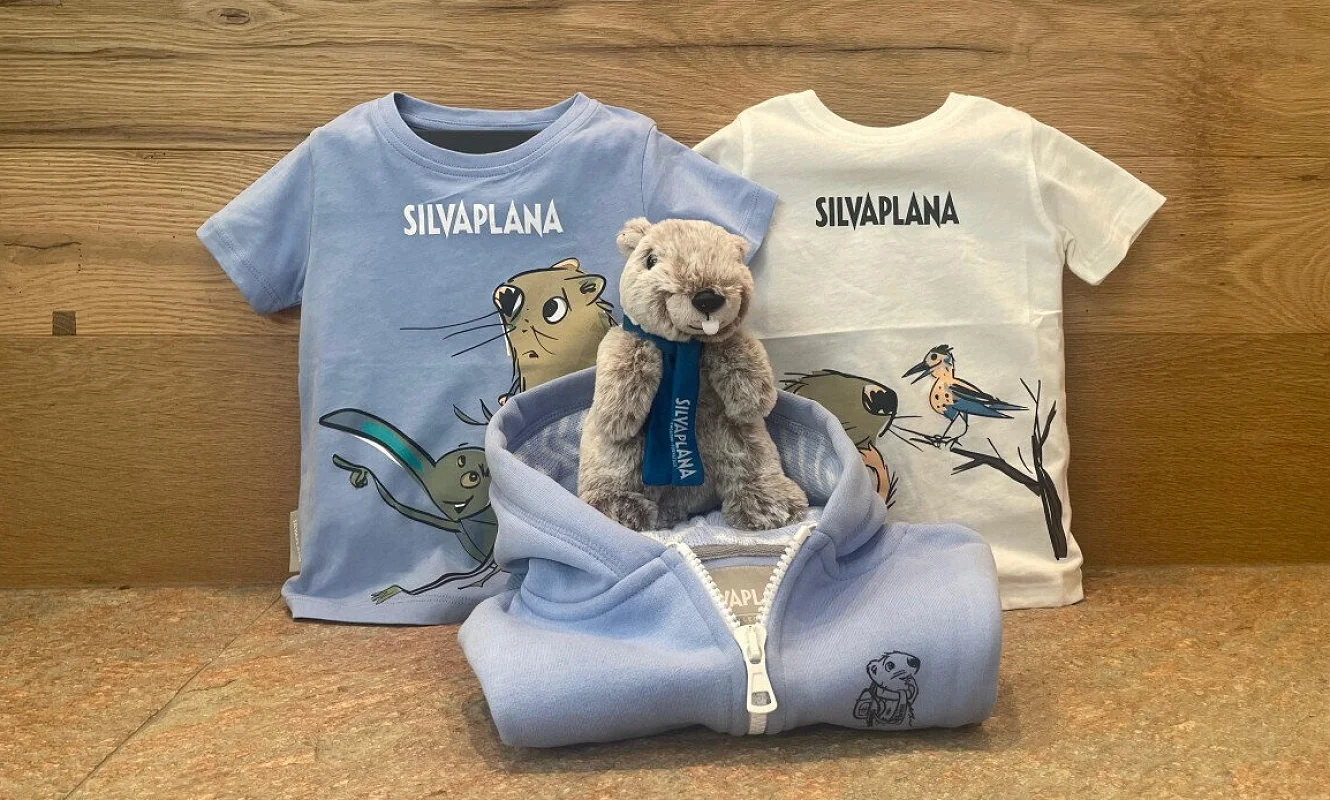 Kinder-T-Shirts und Hoodie mit Niculin-Motiven und Plüsch-Niculin auf Holztisch