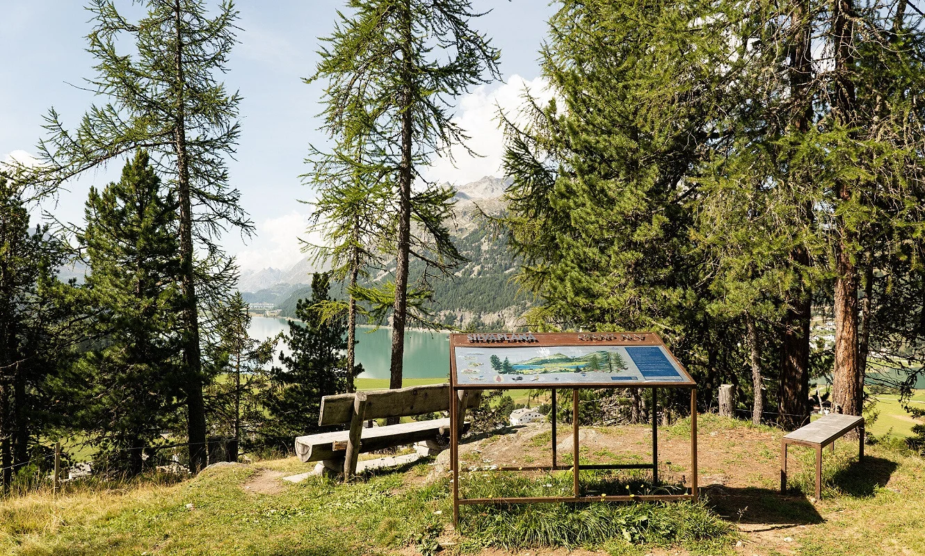 Panoramatafel mit Bank auf einer Waldlichtung oberhalb des Sees