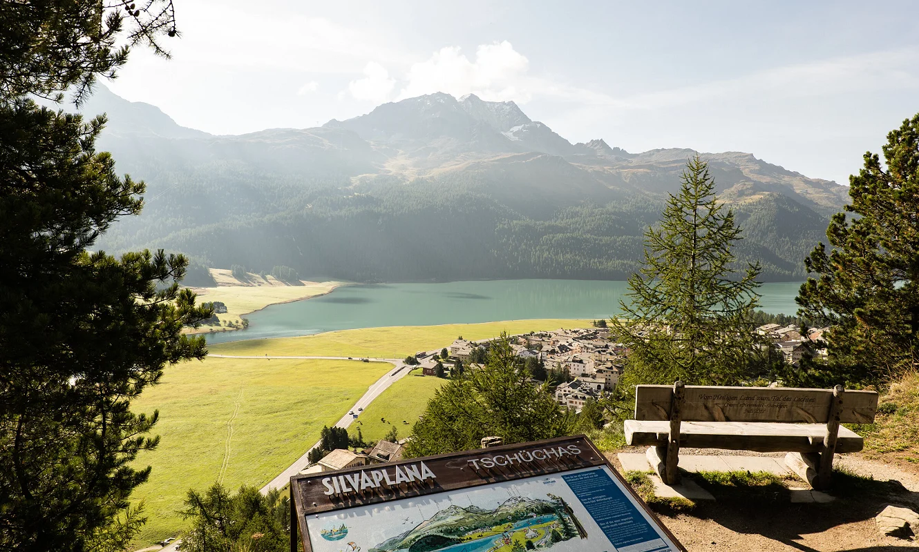 Panoramatafel Silvaplana mit Sitzbank am Waldrand, Blick über den See